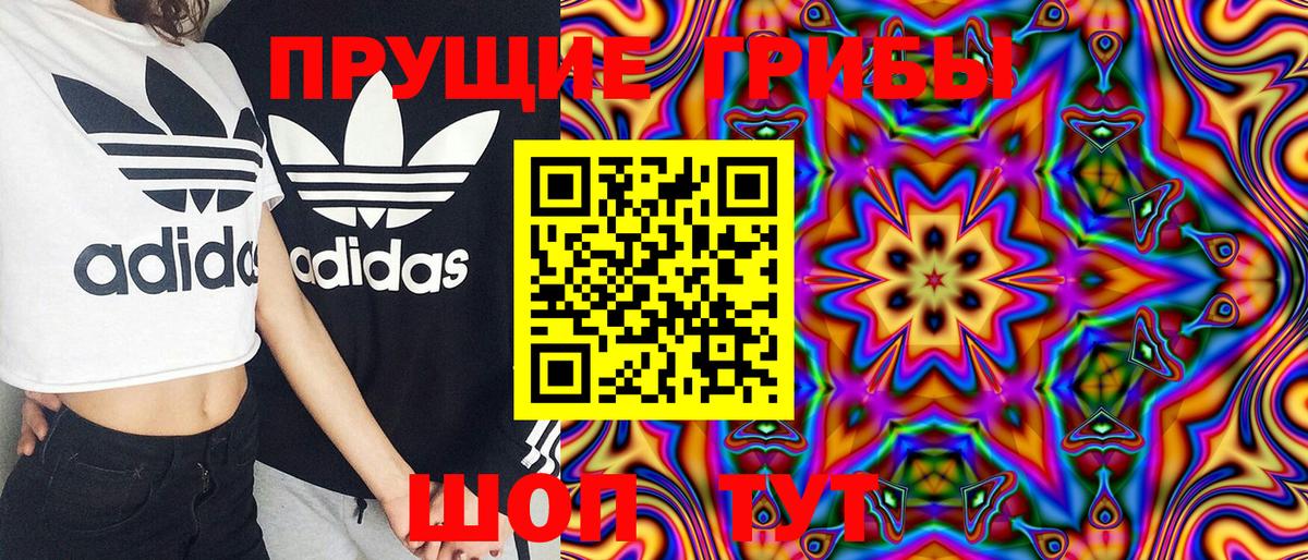 Ступино  Псилоцибиновые грибы MAGIC MUSHROOMS  Вход с VPN  Псилоцибиновые грибы прущие грибы 