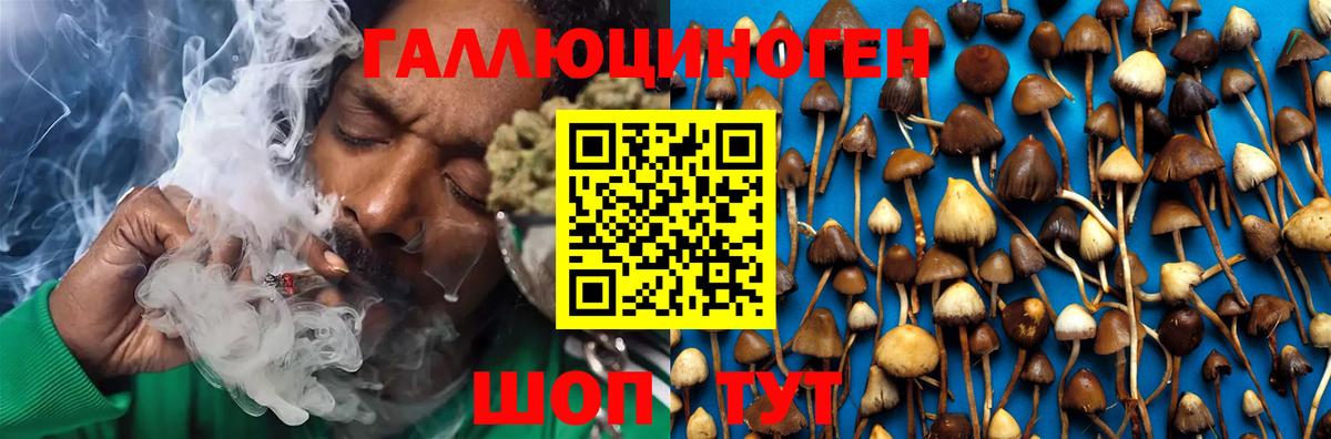 Галлюциногенные грибы GOLDEN TEACHER Ступино